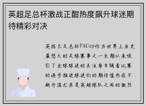 英超足总杯激战正酣热度飙升球迷期待精彩对决 英超足总杯激战正酣热度飙升球迷期待精彩对决
